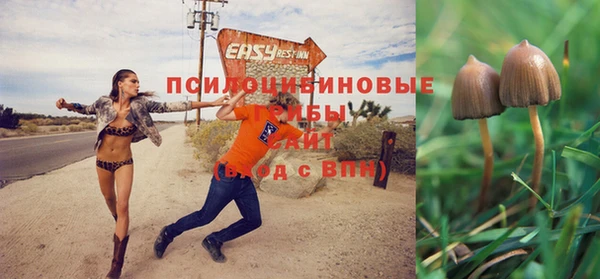 крисы Аркадак