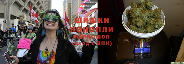 крисы Аркадак